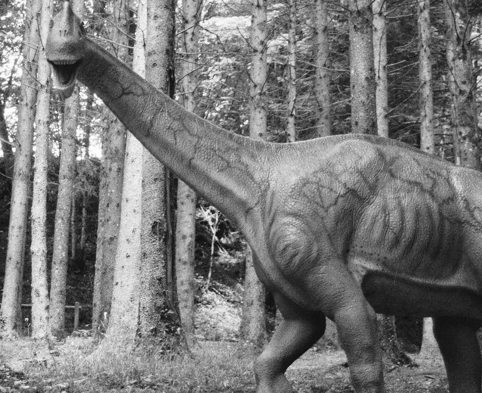 Dino in Wald