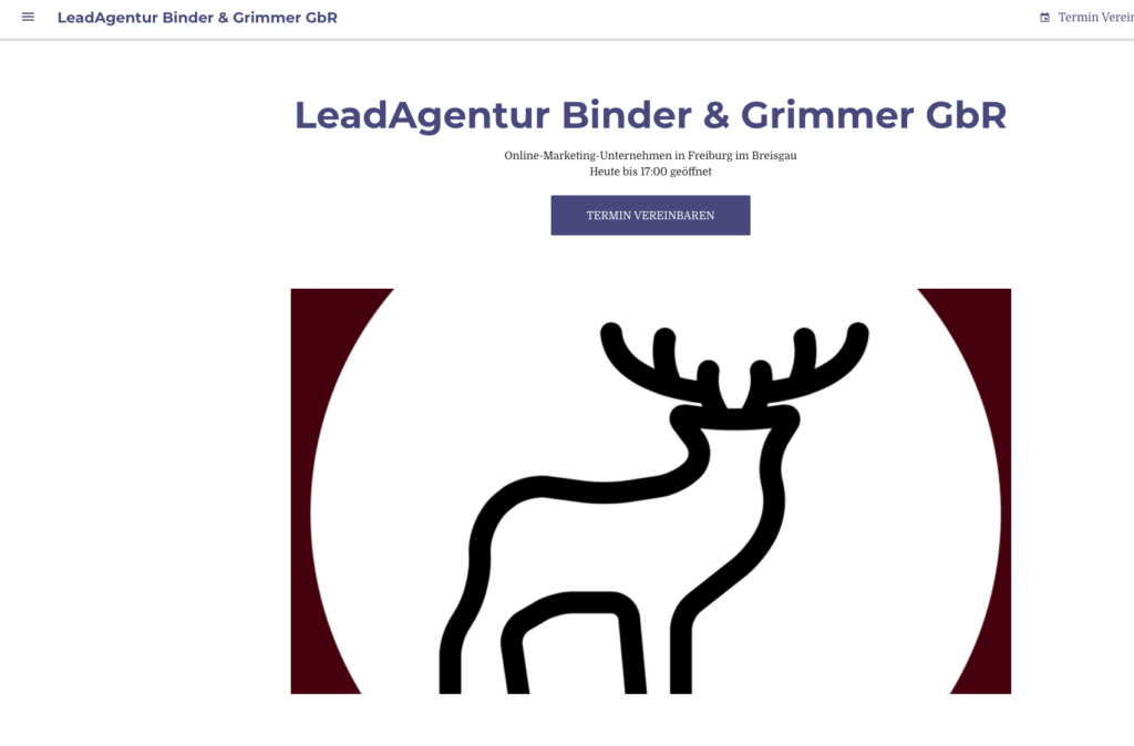 Screenshot Google Website der LeadAgentur Binder Grimmer GbR
